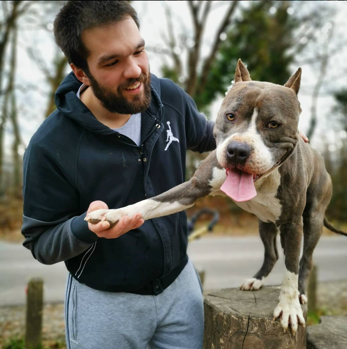 Amstaff - Individual Training and Education