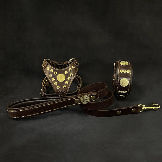 "Maximus Brown&Gold" Small dog SET - Harness - collar - lead-0