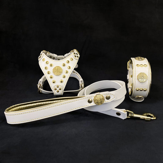 "Maximus White&Gold" Small dog SET - Harness - collar - lead-0