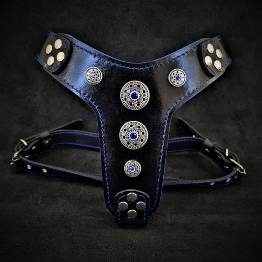 The ''Bijou'' harness Black & Blue Small to Medium Size-0