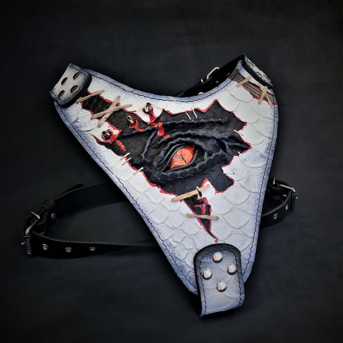 The “Dragon's Eye” Harness LIMITED!-0