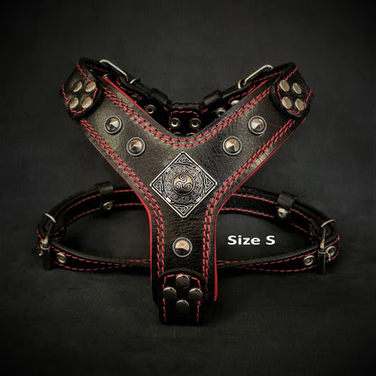 The ''Eros'' harness Black & Red Small to Medium Size-1