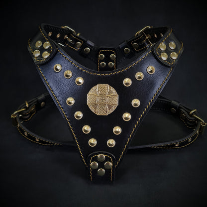 The ''Maximus'' harness Black & Gold  Small to Medium Size-0