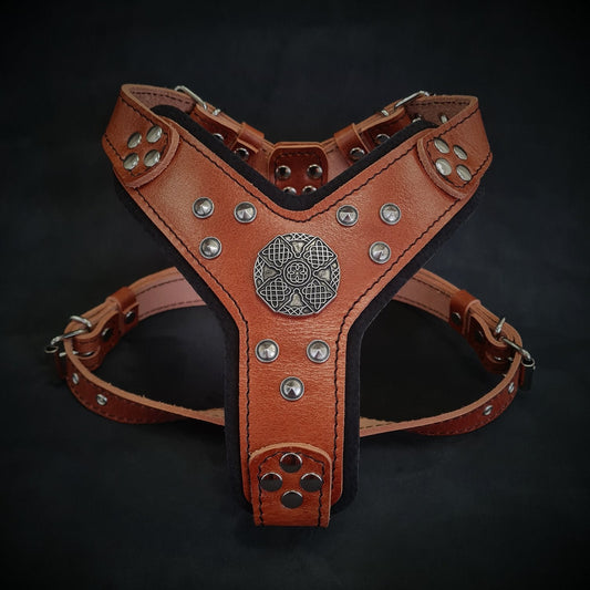 The ''Maximus'' harness brown & silver Small to Medium Size-0