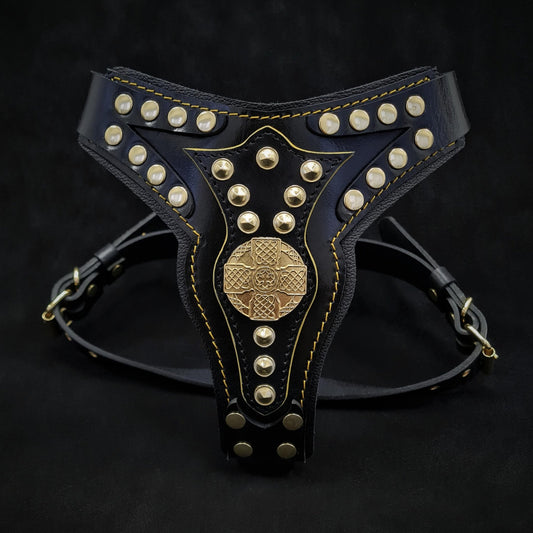 The ''Maximus'' harness V2 Medium Size-0