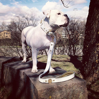 The "Maximus" leash white & gold-1