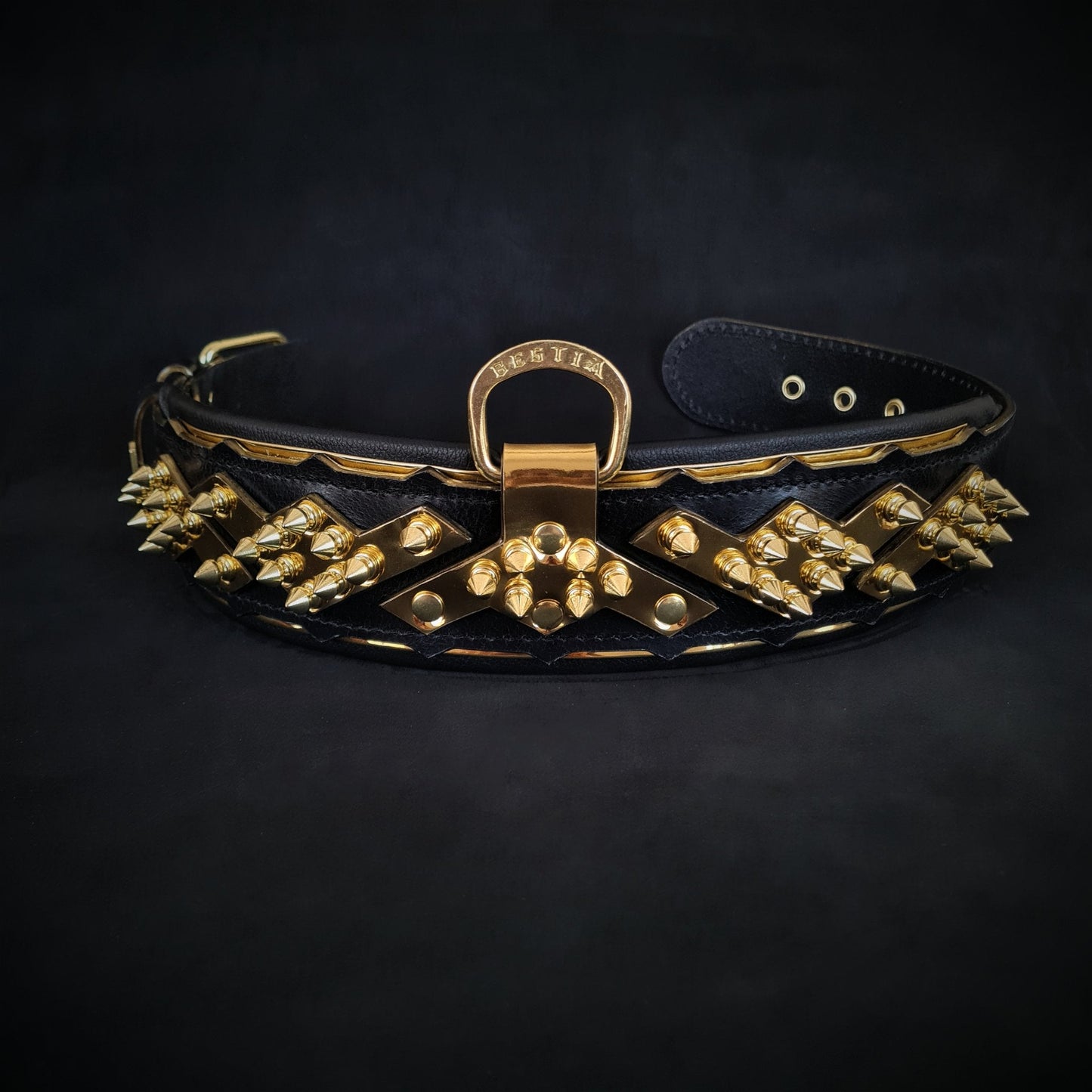 The ''Midas'' Collar Gold-2