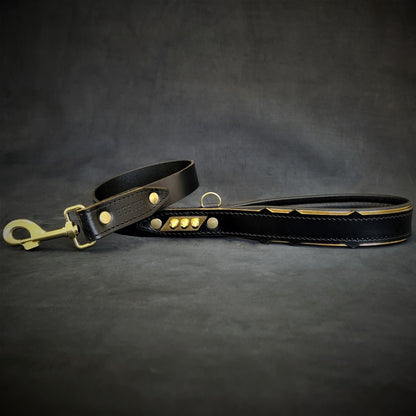 The ''Midas'' leash-1