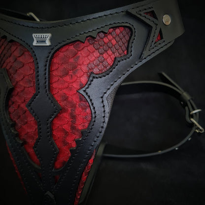 The ''Red Dragon'' harness-2