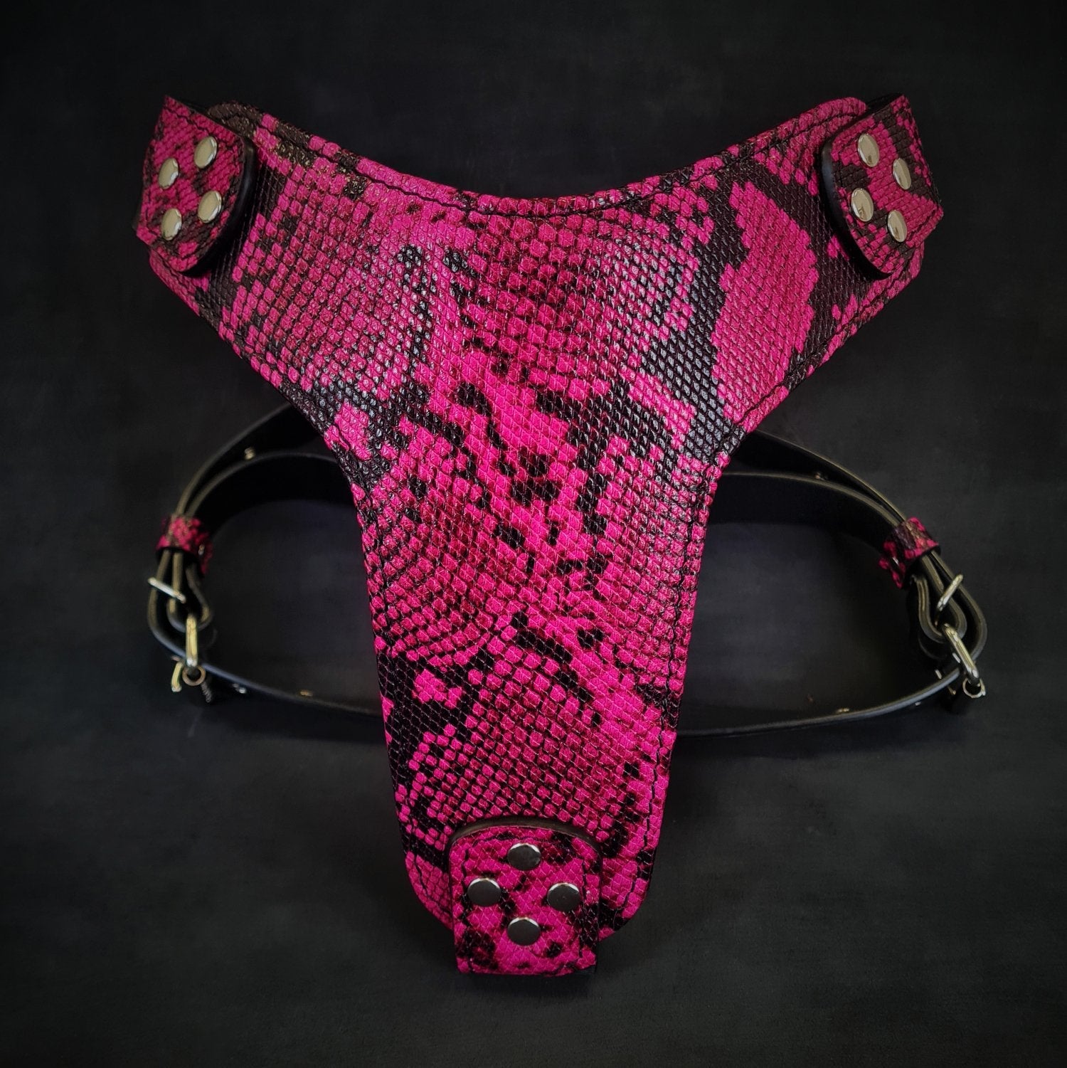 The ''Rock Python'' harness PINK-0