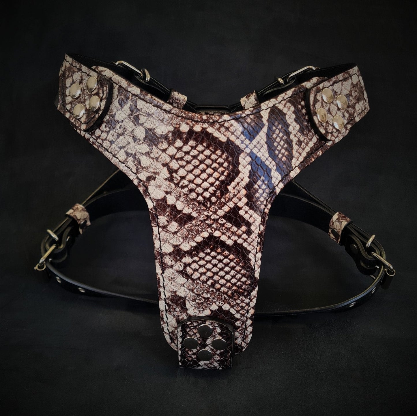 The ''Rock Python'' harness Small to Medium Size-0