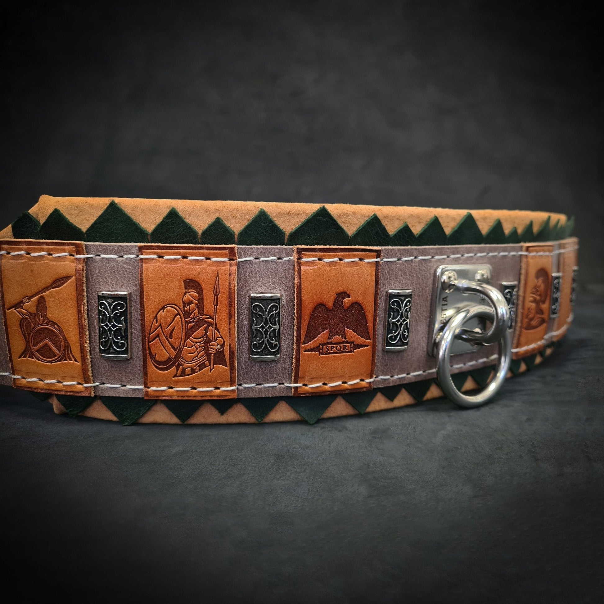 The ''SPQR'' Dog Collar-3