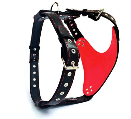 The "Steel" harness-1