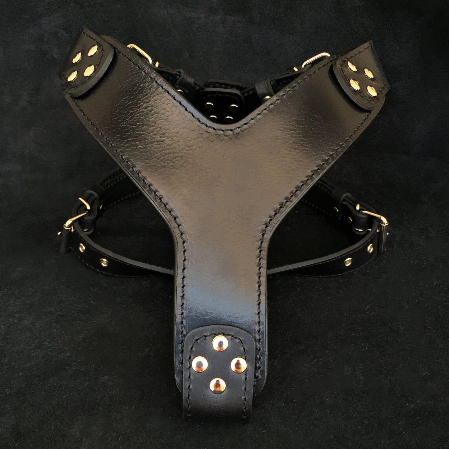 The ''Style'' harness Black-0