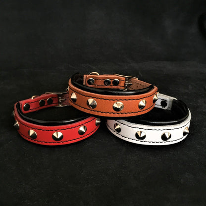 The "Superstar" puppy dog collar-0