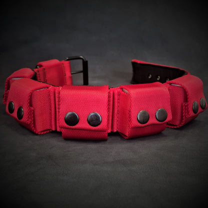 Weighted dog training collar- Red. Large breeds. 5 lbs total. removable weights-2